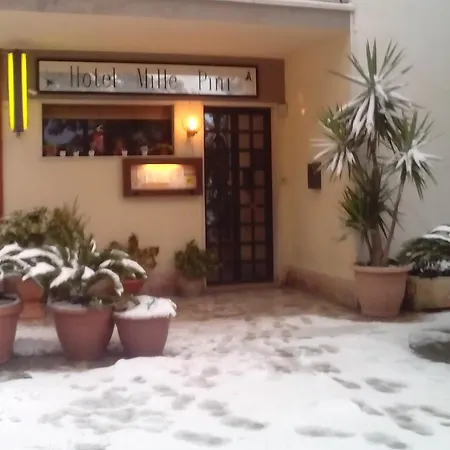 Millepini Hotel